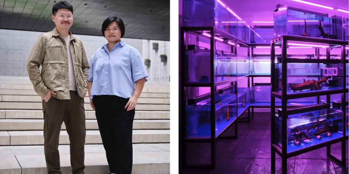 Trevor Yeung: Courtyard of Attachments, 'Hong Kong in Venice' Comes to Hong Kong Next Year