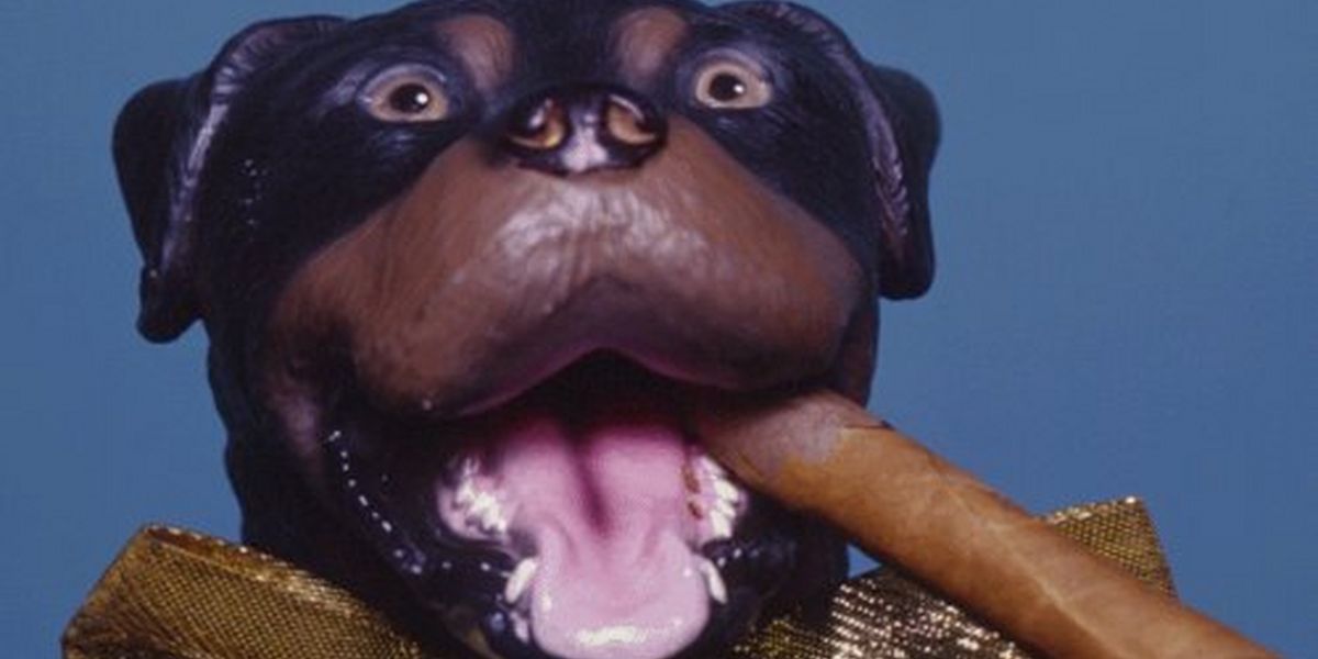Triumph The Insult Comic Dog Comes To The Den Theatre