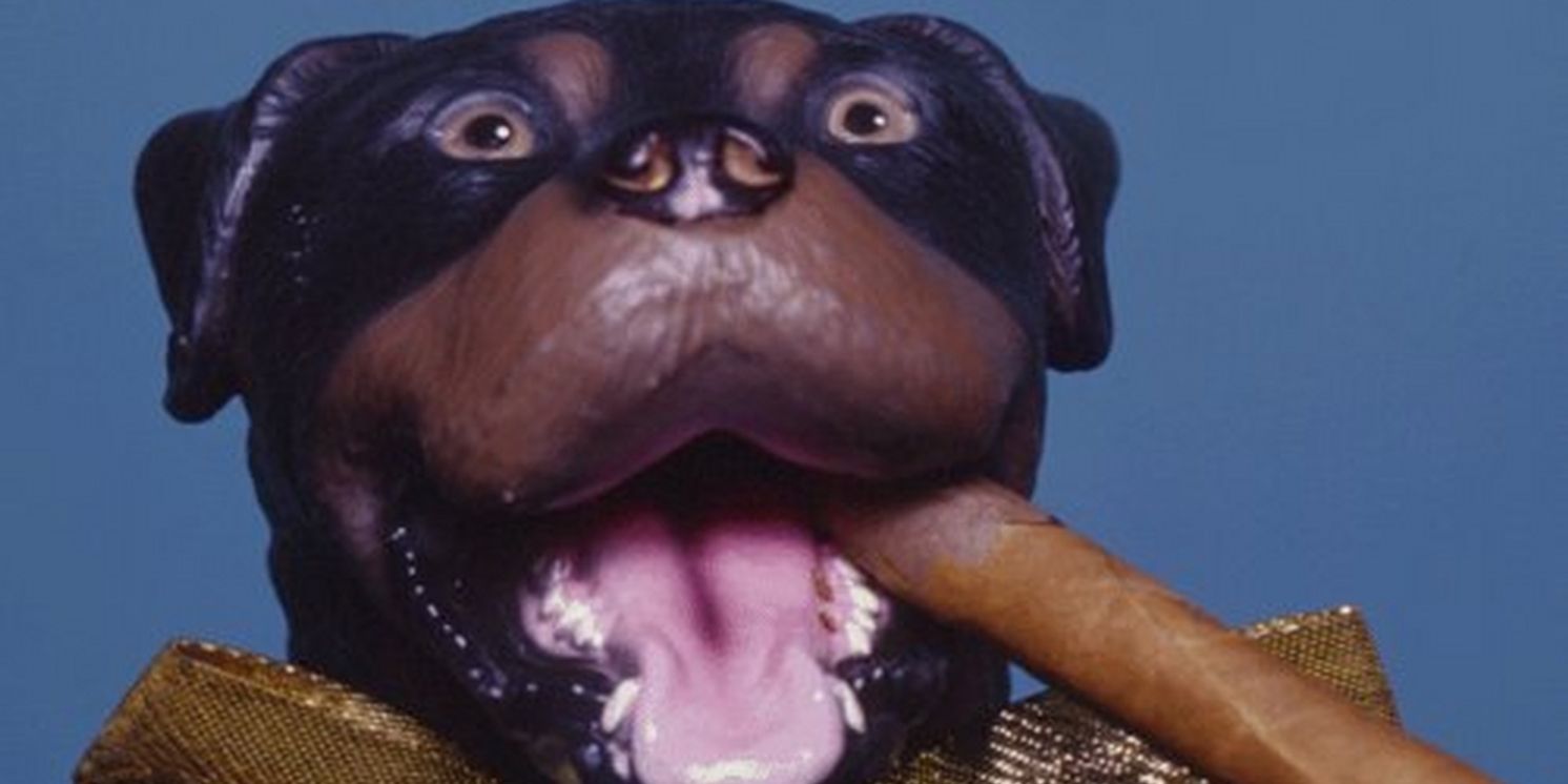 Triumph The Insult Comic Dog is Coming To The Den Theatre  Image
