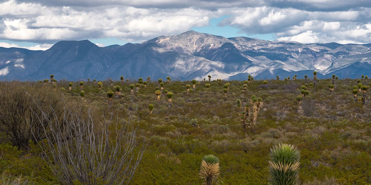Two New Works by Gabriela Ortiz to Premiere at The Met in Celebration of the Art of the Ancient Americas Galleries  Image