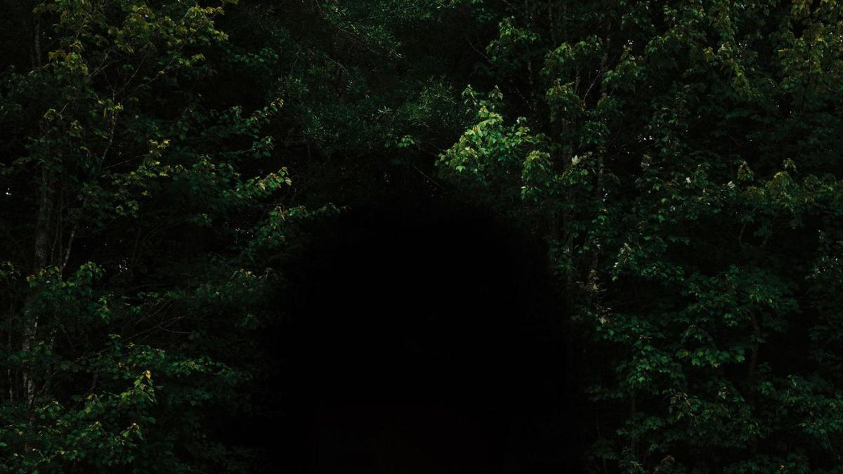 Tyler Lyle Releases Solo Album THE TRANSCENDENTALIST