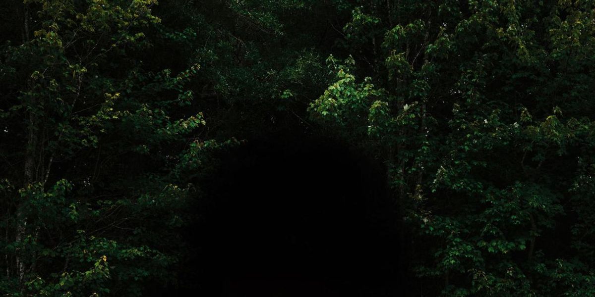 Tyler Lyle to Release THE TRANSCENDENTALIST, First Solo Album in 7 Years