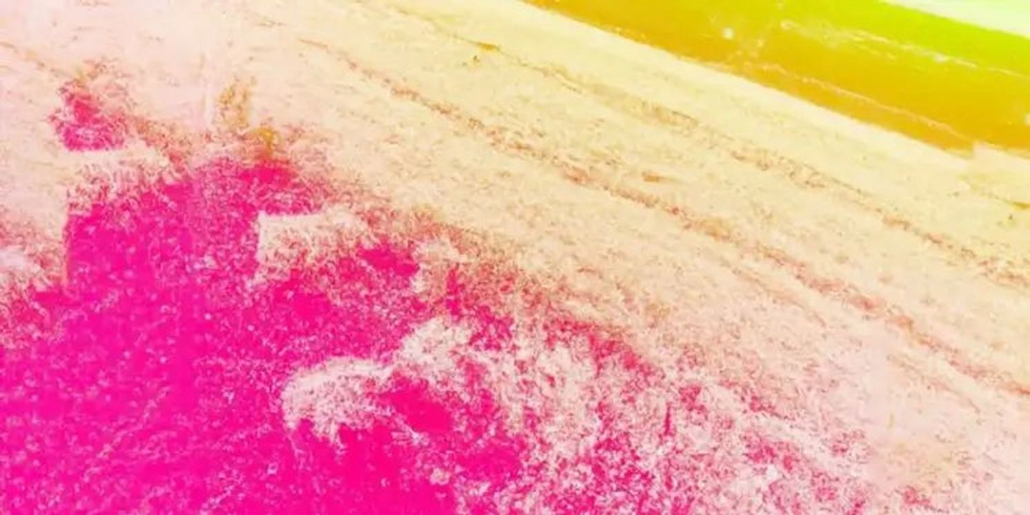 VERDI and LA SCALA Come to La Monnaie Next Month  Image