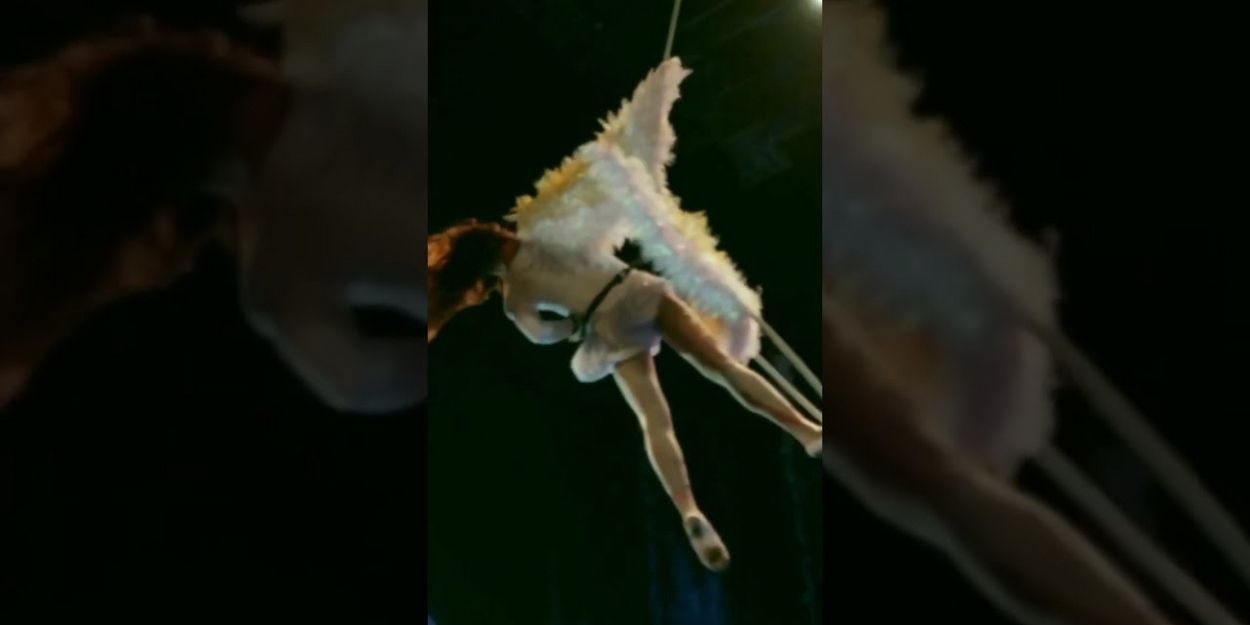 VIDEO: Moby Dick - A Theatrical Aerial Adventure Like Never Before Video