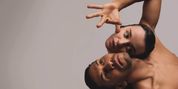 VISTA to Make World Premiere at Malthouse’s Merlyn Theatre Photo