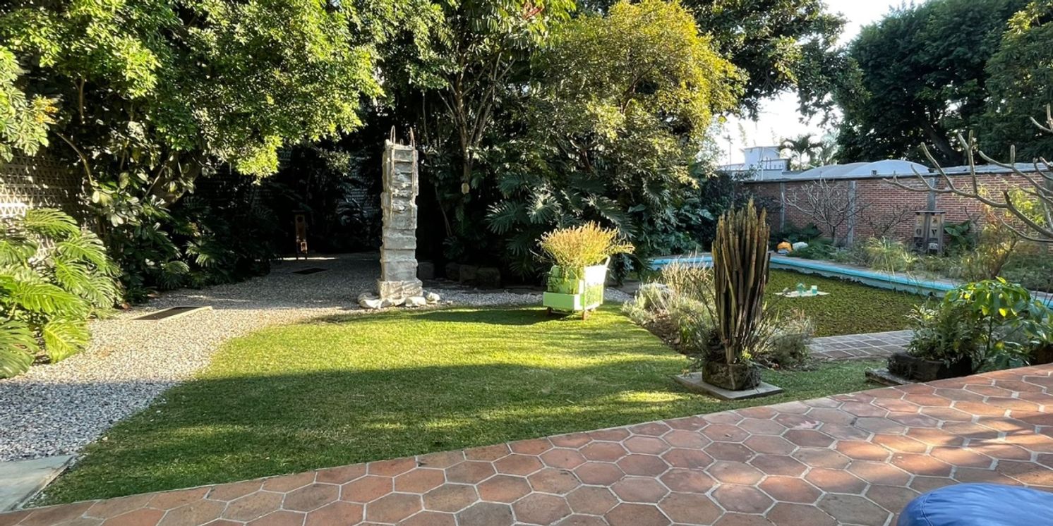 Voces Arbóreas: Diálogos Entre Raíces, Charla Sobre La Coexistencia Con El Mundo Natural  Image