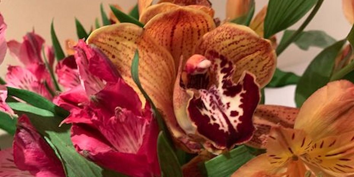 Valentine's Day–Think Differently with Fun Ideas and Special Gifts for Loved Ones