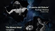 Vangeline to Perform THE SLOWEST WAVE at Chile's FIBUTOH Festival Photo