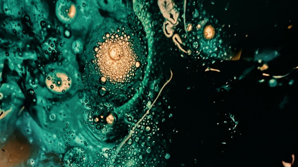 Verdigris Ensemble to Celebrate 10th Anniversary with BREATH Season