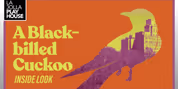 A BLACK-BILLED CUCKOO at La Jolla Playhouse: Jess and Eric Talk Video