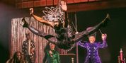 Watch Highlights from CATS: THE JELLICLE BALL on Broadway Video