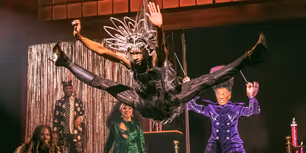 Video: Watch Highlights from CATS: THE JELLICLE BALL on Broadway
