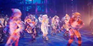 Video: First Look at Immersive CATS at the Fulton Theatre