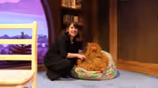 Watch a Set Tour of EUREKA DAY at Seattle Rep Video