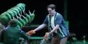 LITTLE SHOP OF HORRORS at the Marriott Theatre