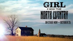 Video: GIRL FROM THE NORTH COUNTRY at Arden Theatre