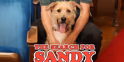 Goodspeed Musicals Introduces Sandy for ANNIE's 50th Anniversary Production Video