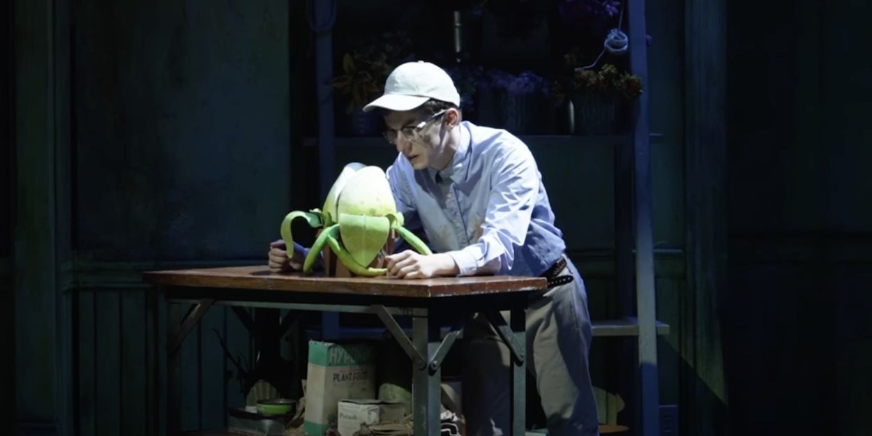Video: Andrew Barth Feldman Sings 'Grow For Me' in LITTLE SHOP OF HORRORS Video
