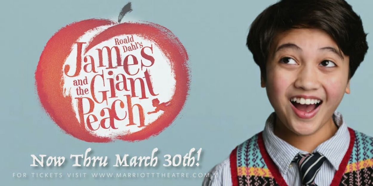 Video: Get A First Look at JAMES AND THE GIANT PEACH at Marriott Theatre Video