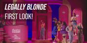 First Look at LEGALLY BLONDE at Theatre Calgary Video