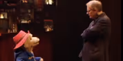Paddington Interviewed By BBC Journalist After Musical Debut Video