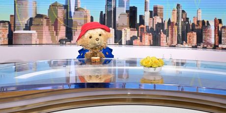 Video/Photos: PADDINGTON Visits GOOD MORNING AMERICA for Broadway Announcement Photo