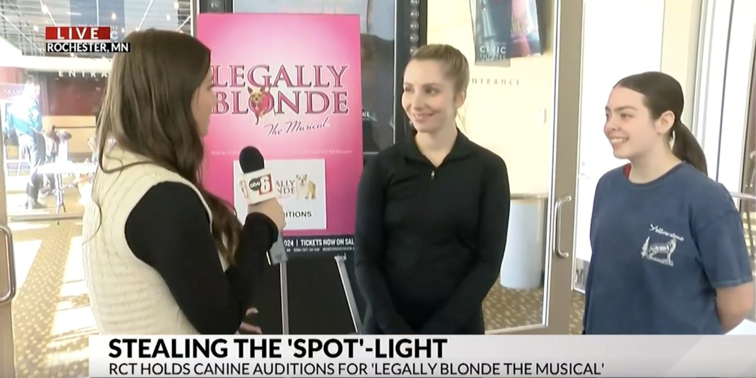 Video: Rochester Civic Theater Holds Dog Auditions for LEGALLY BLONDE  Image