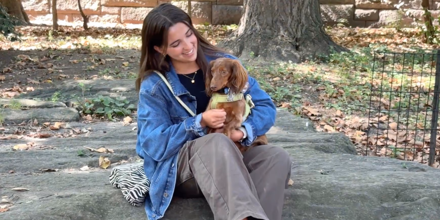 Video: Sarah Agrusa Cuddles up with Her Broadway Pet, Ollie