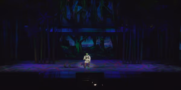 Video: Go Inside Opening Night of SHREK at The Muny Photo