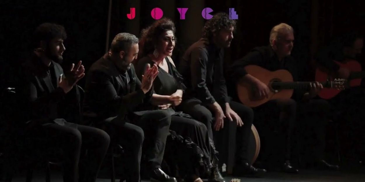 Video: Soledad Barrio & Noche Flamenca Preview 'Searching for Goya' at The Joyce… Video