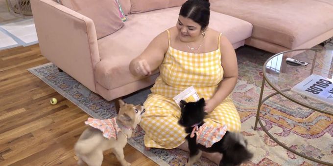 Video: MiMi Scardulla Cuddles Up with Her Broadway Pets, Gypsy & Baby