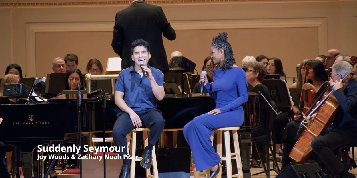 Video: Watch Norm Lewis, Joy Woods, More in SETH RUDETSKY & FRIENDS Carnegie Hall… Video