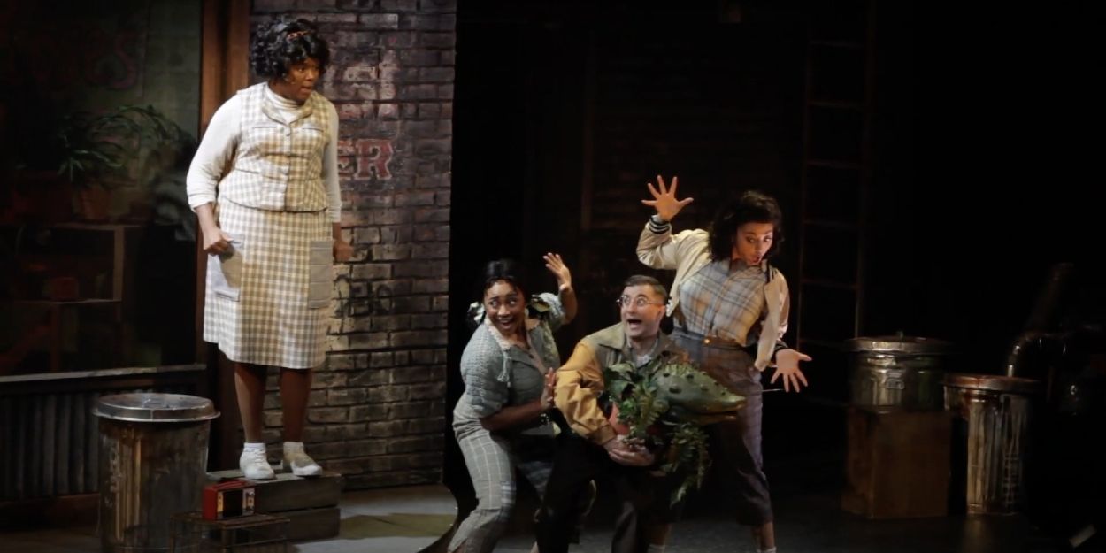 Video: Watch a Preview of LITTLE SHOP OF HORRORS at South Coast Repertory Video