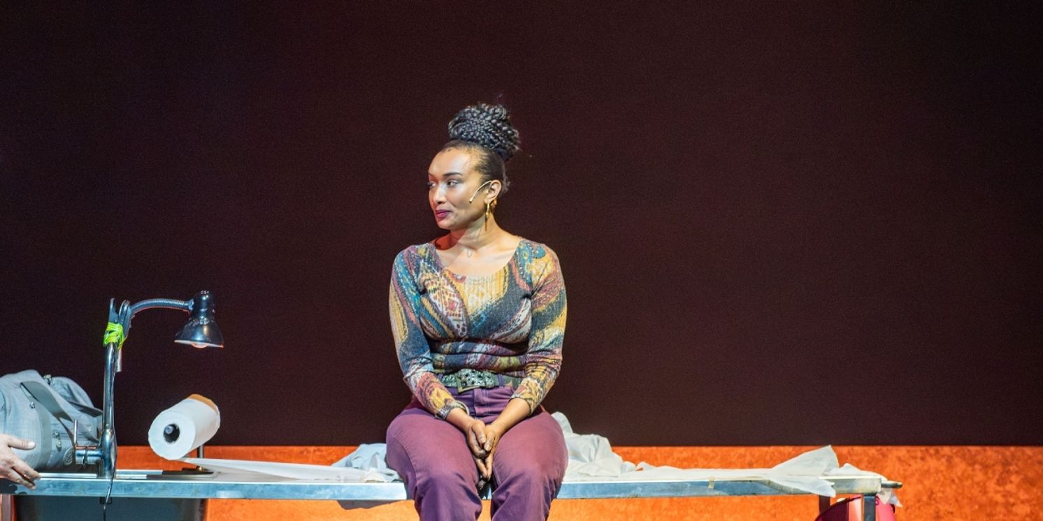 WAKING LIONS Comes to the Cameri Theatre  Image