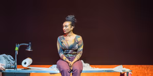 WAKING LIONS Comes to the Cameri Theatre