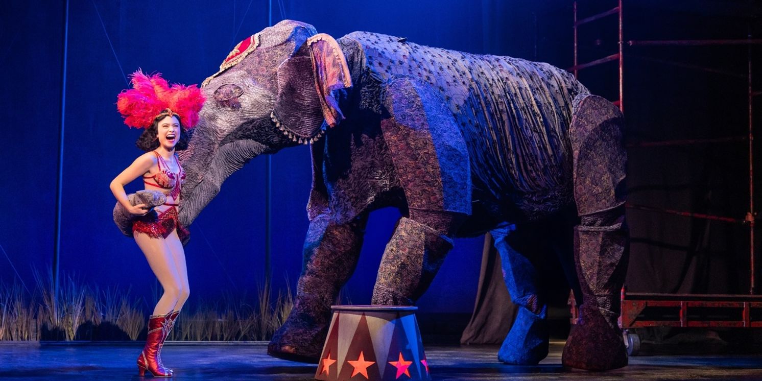 WATER FOR ELEPHANTS Comes to Lubbock’s Buddy Holly Hall in January 2026  Image