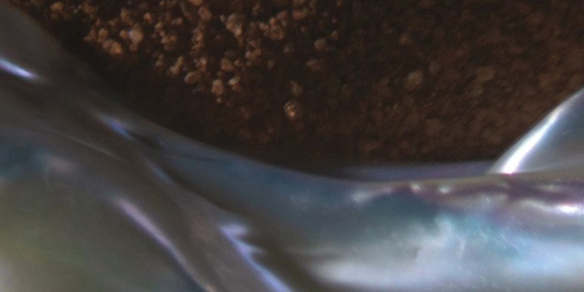 WATERBODIES: Charlotte Greve to Release New Album Via New Amsterdam