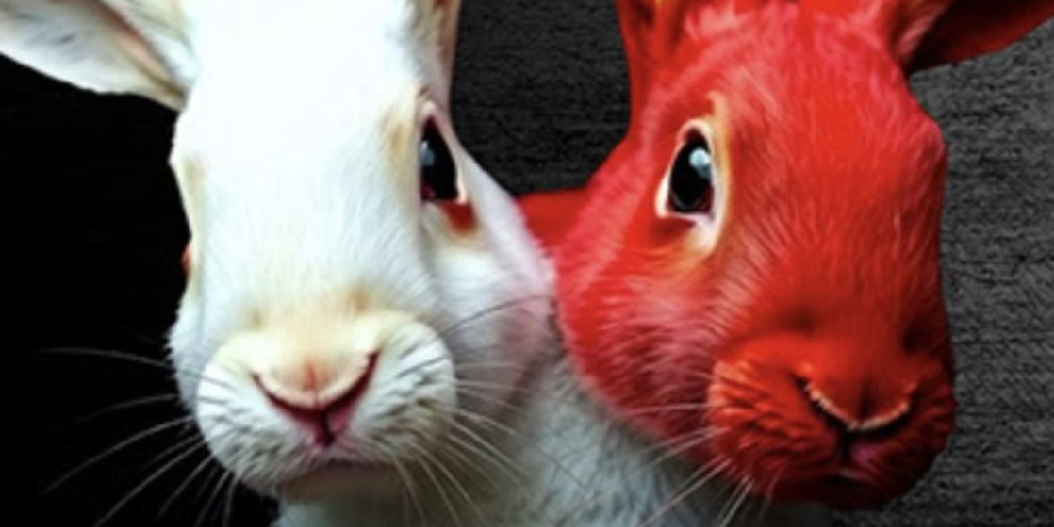 WHITE RABBIT RED RABBIT LA Premiere is Coming to Fountain Theatre  Image
