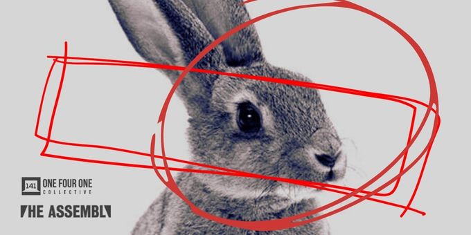 WHITE RABBIT RED RABBIT Returns to Toronto at the Assembly Theatre Photos