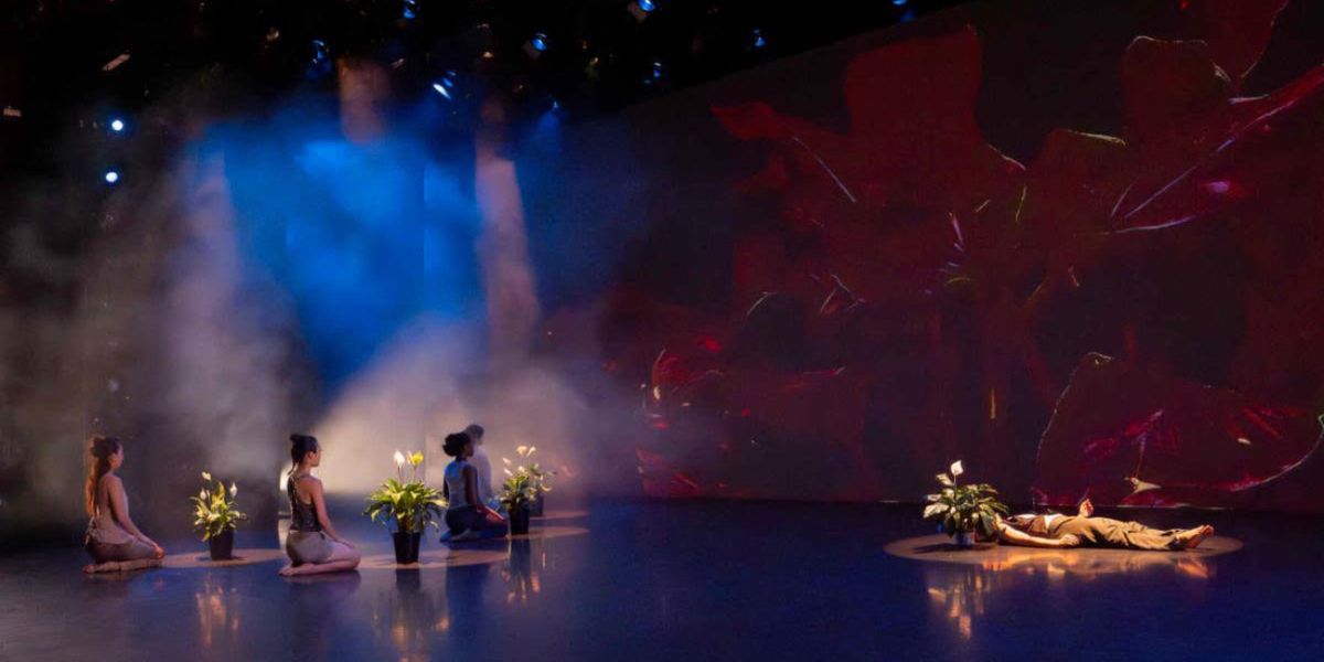 WHITE WAVE Dance Receives $125,000 Matching Gift From John C. Ryan