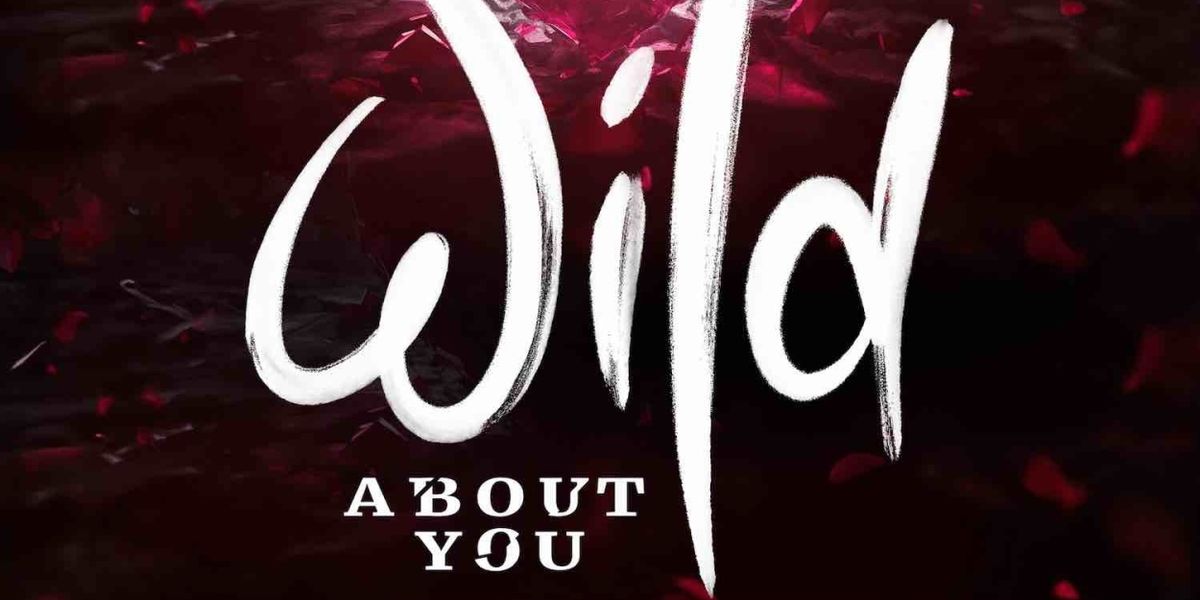 WILD ABOUT YOU Deluxe Edition Featuring Music And Lyrics By Chilina Kennedy to be Released