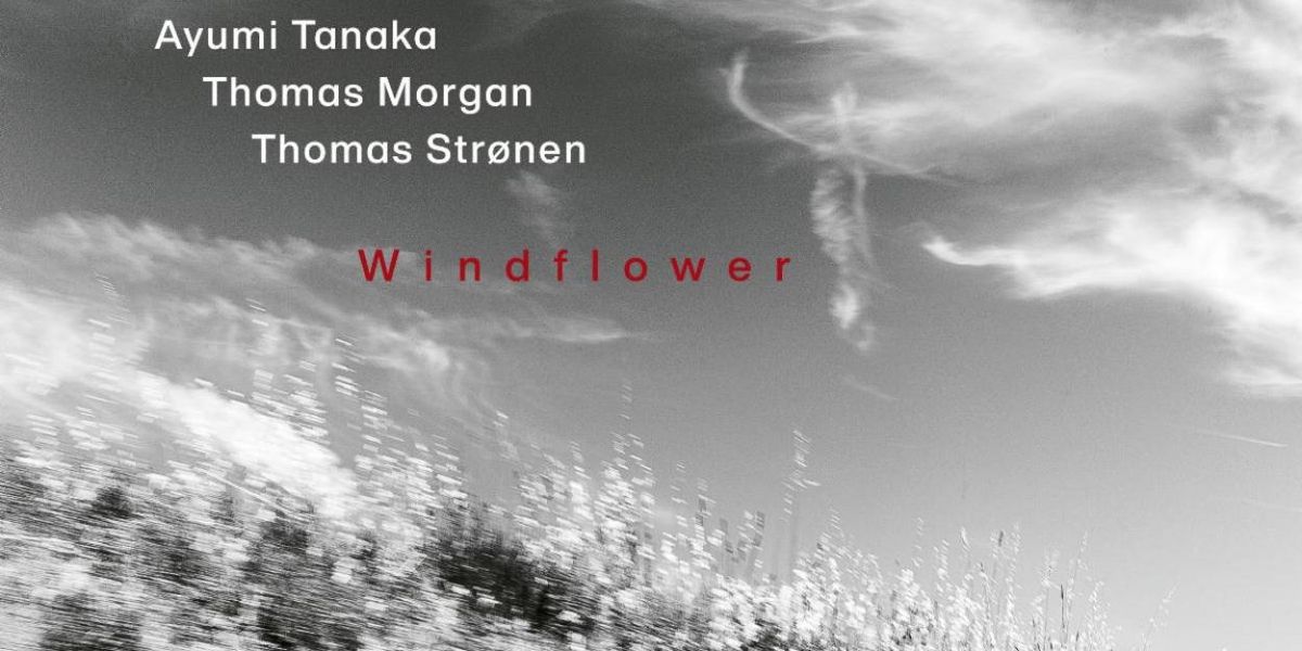 WINDFLOWER Trio Album With Ayumi Tanaka to Arrive via ECM