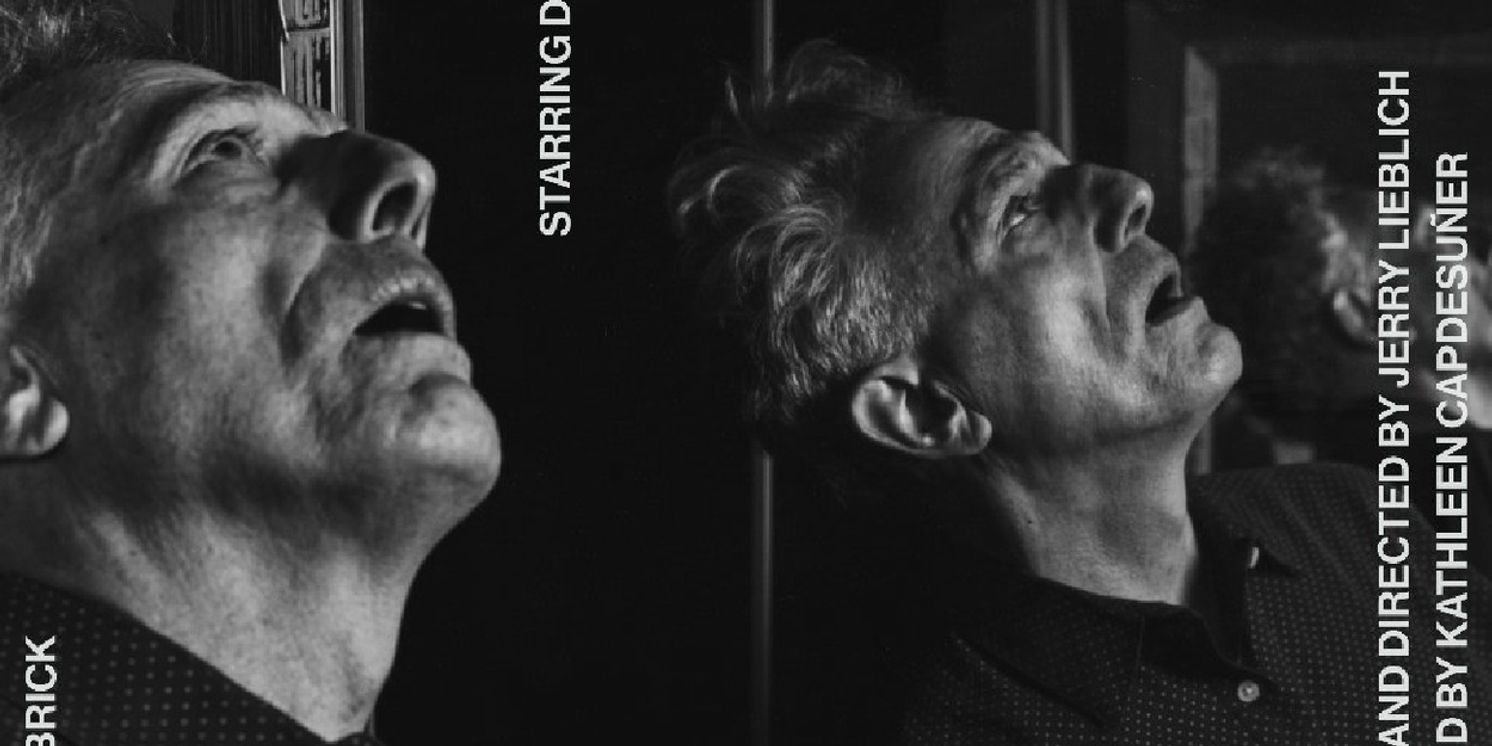 WITHOUT MIRRORS To Play At The Brick Theater In February  Image