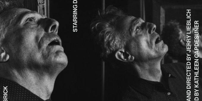 WITHOUT MIRRORS To Play At The Brick Theater In February Photos