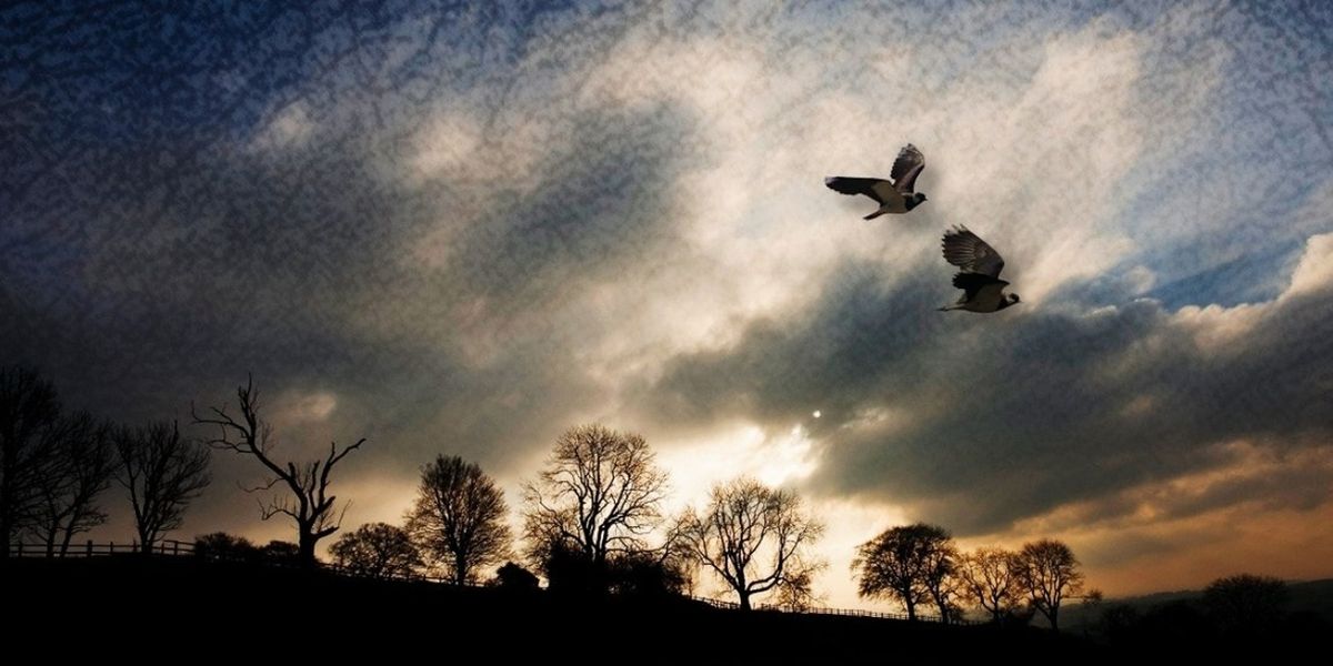 WUTHERING HEIGHTS to Open at the little OPERA theatre of ny