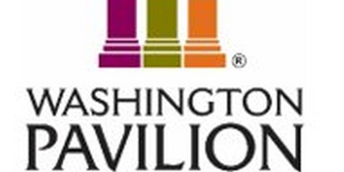 Washington Pavilion Launches New Art Consulting Services