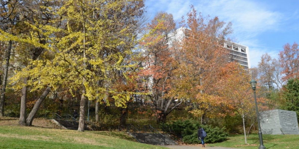West Harlem Art Fund Celebrated Climate Week With Plantings On St. Nicholas Avenue