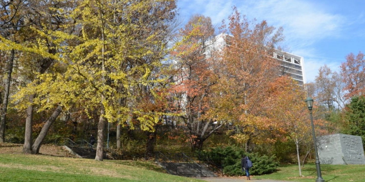 West Harlem Art Fund Celebrated Climate Week With Plantings On St. Nicholas Avenue  Image
