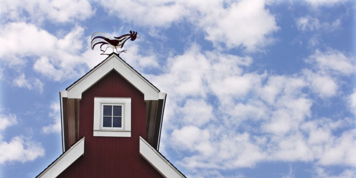Westport Country Playhouse Announces Fundraising Results At July 31 Deadline For “Save Your Playhouse” Campaign