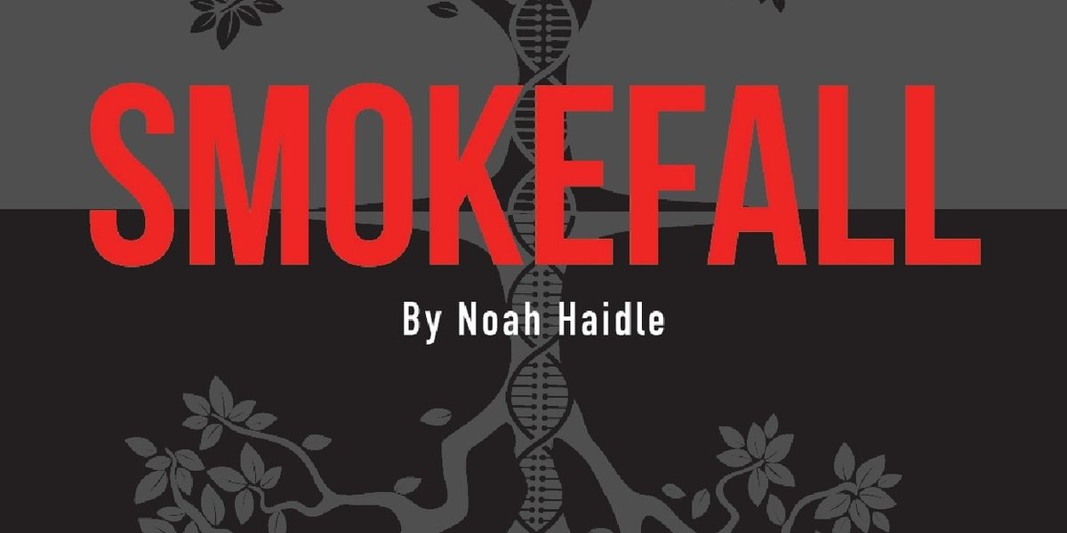 Wild Door Theater to Make Chicago Debut with SMOKEFALL at Theater Wit